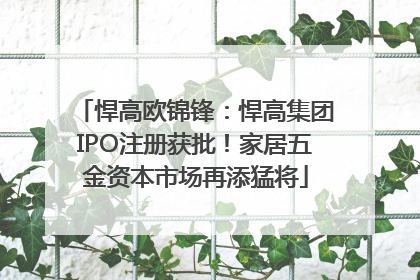 悍高欧锦锋：悍高集团IPO注册获批！家居五金资本市场再添猛将