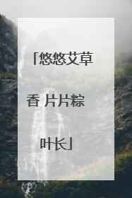 悠悠艾草香 片片粽叶长