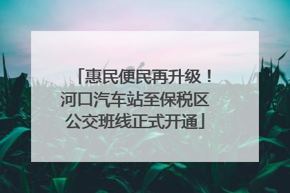 惠民便民再升级！河口汽车站至保税区公交班线正式开通