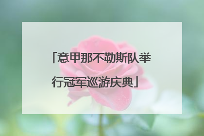 意甲那不勒斯队举行冠军巡游庆典