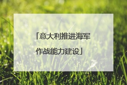 意大利推进海军作战能力建设