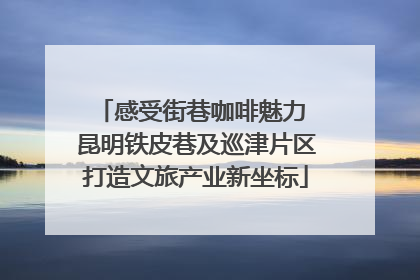 感受街巷咖啡魅力 昆明铁皮巷及巡津片区打造文旅产业新坐标