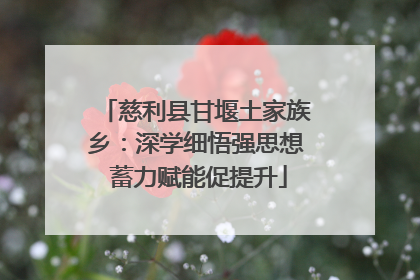 慈利县甘堰土家族乡：深学细悟强思想 蓄力赋能促提升
