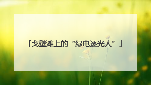 戈壁滩上的“绿电逐光人”