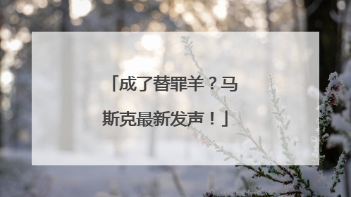 成了替罪羊？马斯克最新发声！
