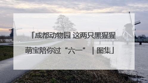 成都动物园 这两只黑猩猩萌宝陪你过“六一”｜图集