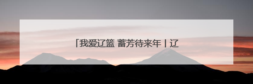 我爱辽篮 蓄芳待来年丨辽篮当针对阵容短板选外援