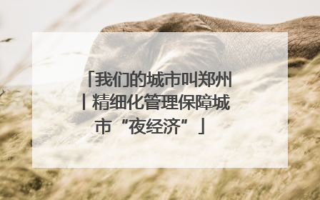 我们的城市叫郑州丨精细化管理保障城市“夜经济”