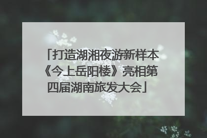 打造湖湘夜游新样本《今上岳阳楼》亮相第四届湖南旅发大会