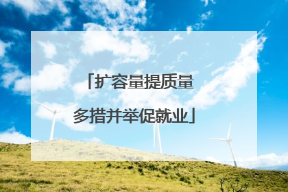 扩容量提质量 多措并举促就业