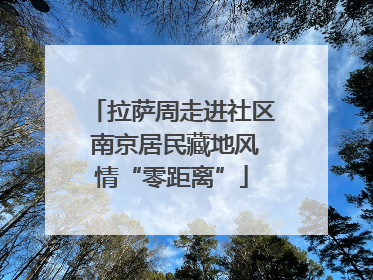 拉萨周走进社区 南京居民藏地风情“零距离”