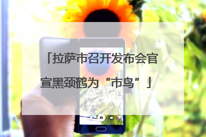 拉萨市召开发布会官宣黑颈鹤为“市鸟”