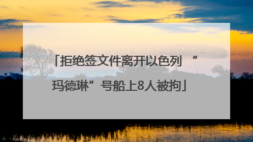 拒绝签文件离开以色列 “玛德琳”号船上8人被拘