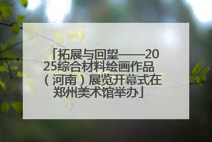 拓展与回望——2025综合材料绘画作品（河南）展览开幕式在郑州美术馆举办