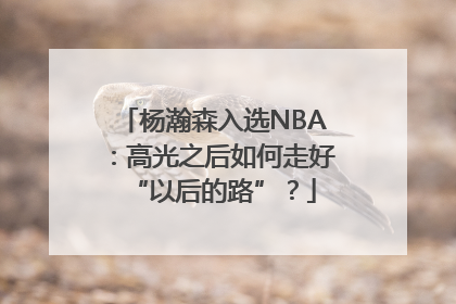 杨瀚森入选NBA：高光之后如何走好“以后的路”？