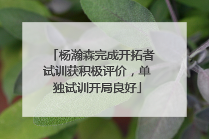 杨瀚森完成开拓者试训获积极评价，单独试训开局良好
