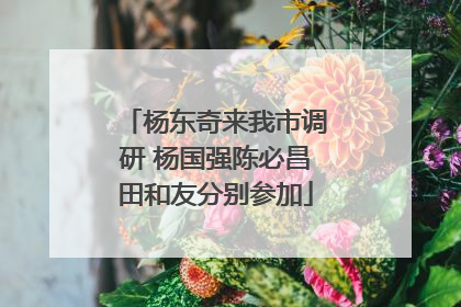 杨东奇来我市调研 杨国强陈必昌田和友分别参加