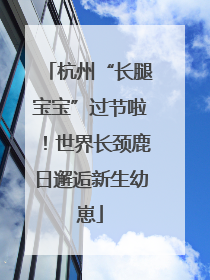杭州“长腿宝宝”过节啦！世界长颈鹿日邂逅新生幼崽