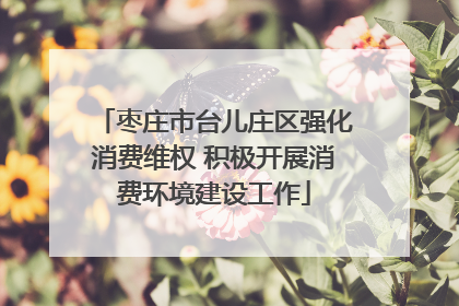 枣庄市台儿庄区强化消费维权 积极开展消费环境建设工作