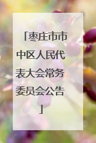 枣庄市市中区人民代表大会常务委员会公告