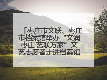 枣庄市文联、枣庄市档案馆举办“文润枣庄·艺联万家”文艺志愿者走进档案馆主题活动