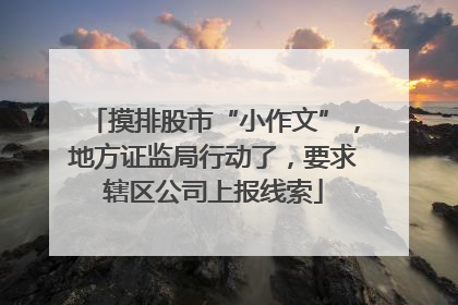 摸排股市“小作文”,地方证监局行动了,要求辖区公司上报线索