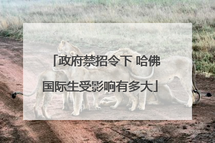 政府禁招令下 哈佛国际生受影响有多大