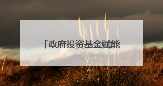 政府投资基金赋能产业链发展！厦门出台促发展措施→