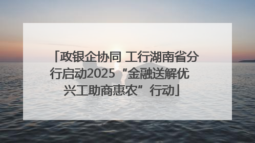 政银企协同 工行湖南省分行启动2025“金融送解优 兴工助商惠农”行动