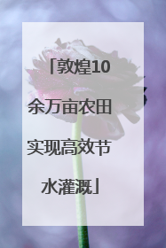敦煌10余万亩农田实现高效节水灌溉