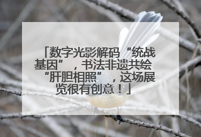 数字光影解码“统战基因”，书法非遗共绘“肝胆相照”，这场展览很有创意！