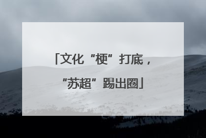 文化“梗”打底，“苏超”踢出圈