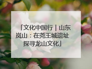 文化中国行｜山东岚山：在尧王城遗址探寻龙山文化