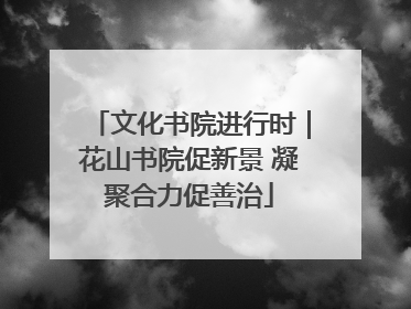 文化书院进行时｜花山书院促新景 凝聚合力促善治