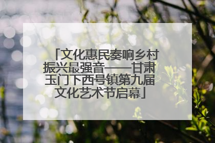 文化惠民奏响乡村振兴最强音——甘肃玉门下西号镇第九届文化艺术节启幕