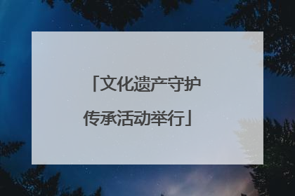 文化遗产守护传承活动举行