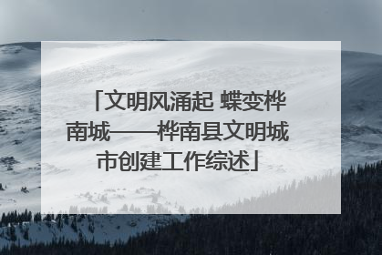 文明风涌起 蝶变桦南城——桦南县文明城市创建工作综述