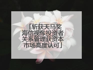 斩获天马奖 海信视像投资者关系管理获资本市场高度认可