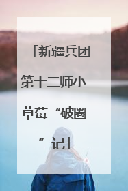 新疆兵团第十二师小草莓“破圈”记