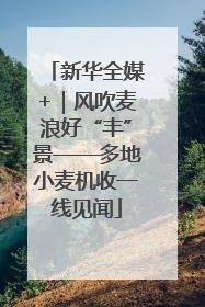新华全媒+｜风吹麦浪好“丰”景——多地小麦机收一线见闻