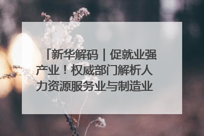 新华解码｜促就业强产业！权威部门解析人力资源服务业与制造业融合发展试点