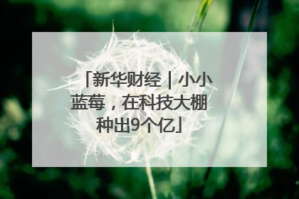 新华财经｜小小蓝莓，在科技大棚种出9个亿