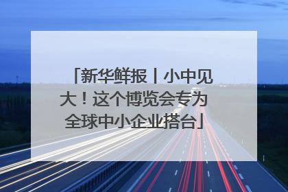 新华鲜报丨小中见大！这个博览会专为全球中小企业搭台