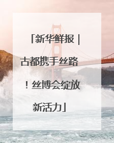 新华鲜报｜古都携手丝路！丝博会绽放新活力