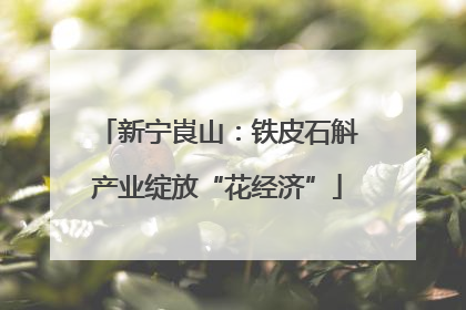 新宁崀山：铁皮石斛产业绽放“花经济”