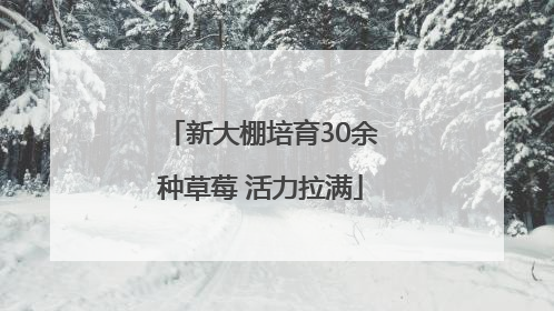 新大棚培育30余种草莓 活力拉满