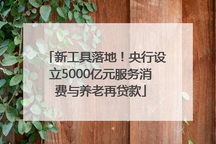 新工具落地！央行设立5000亿元服务消费与养老再贷款
