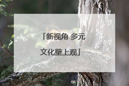 新视角 多元文化壁上观