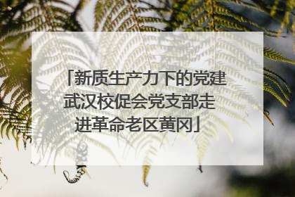 新质生产力下的党建 武汉校促会党支部走进革命老区黄冈