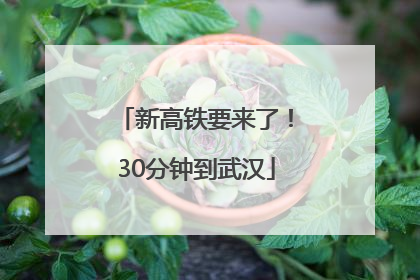 新高铁要来了！30分钟到武汉